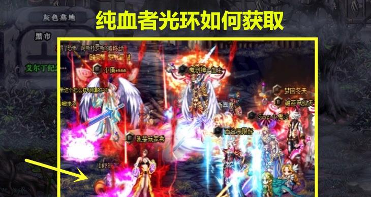 光环手游新手攻略（揭秘光环手游的初级技巧和高级玩法，助你成为最强玩家！）