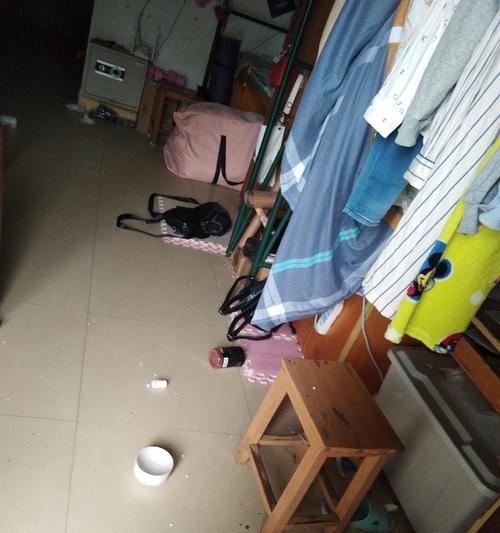 宿舍抓老鼠攻略（如何有效解决宿舍里的老鼠问题）