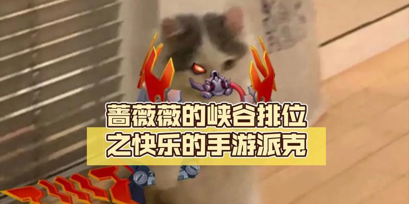 派克手游辅助出装攻略（掌握派克的最佳装备选择，助你成为无敌辅助）