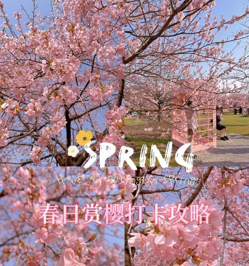 樱花地牢主线攻略（探索地牢，战胜怪物，成为地牢之王！）